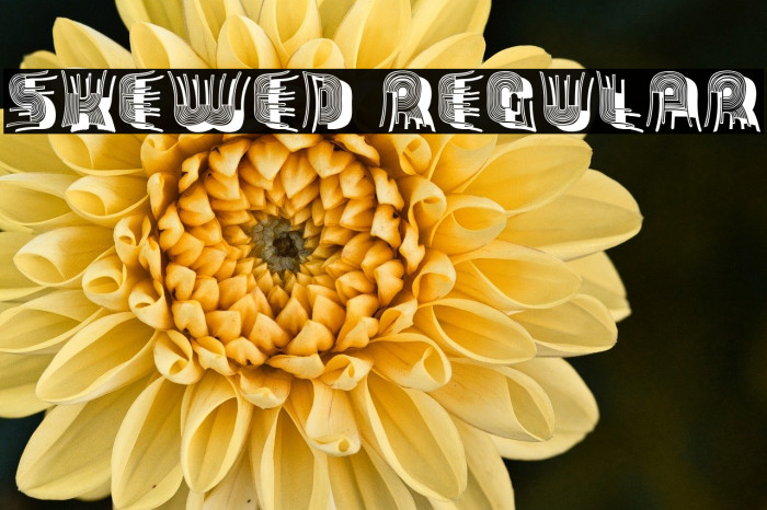 Skewed Regular Example 2