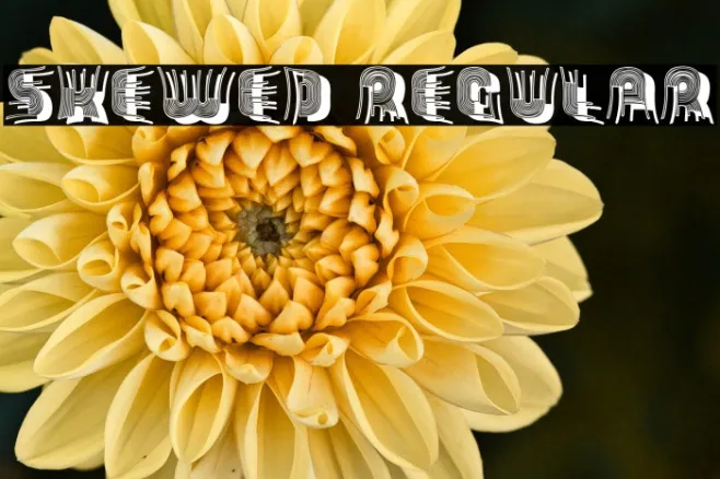 Skewed Regular Example 2