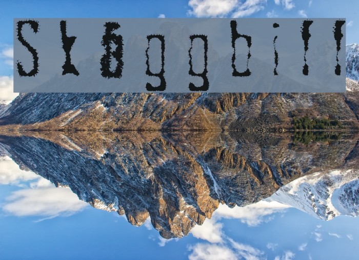 Skggbiff Шрифта examples
