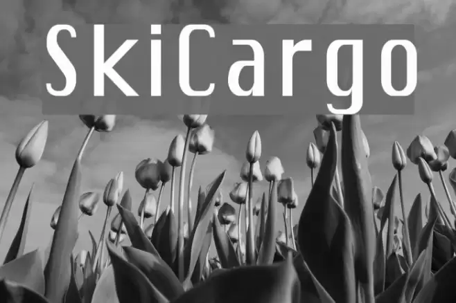 SkiCargo Font examples