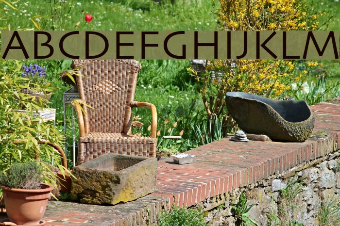 Skia Font examples