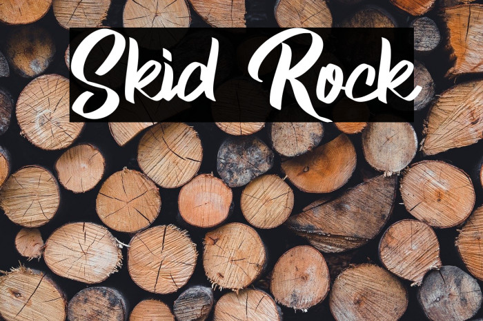 Skid Rock Example 2