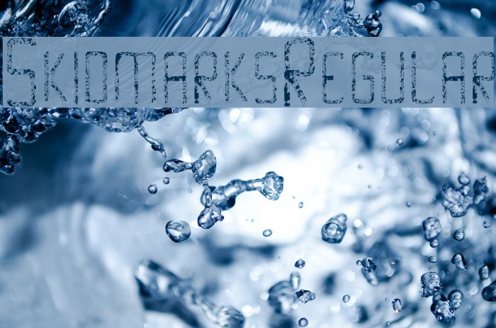 Skidmarks-Regular Example 1