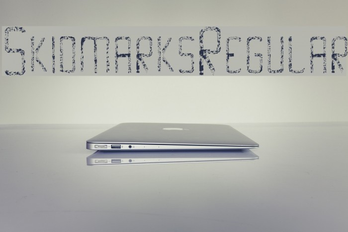 Skidmarks-Regular Example 2