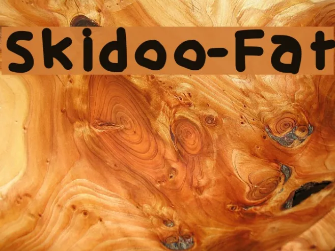 Skidoo-Fat Example 2