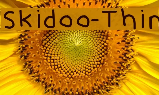 Skidoo-Thin Example 2