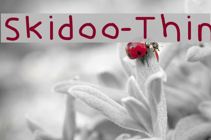 Skidoo-Thin Font examples