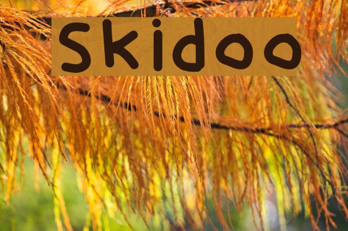 Skidoo Font examples