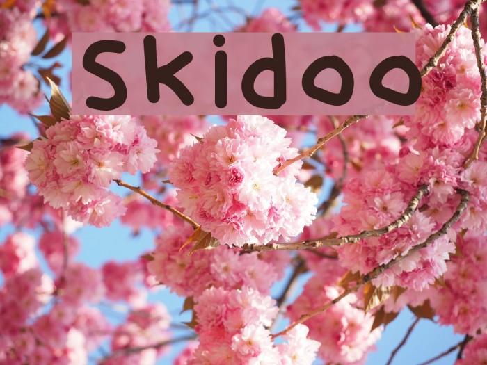 Skidoo Font examples