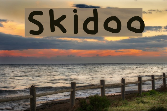 Skidoo Font examples