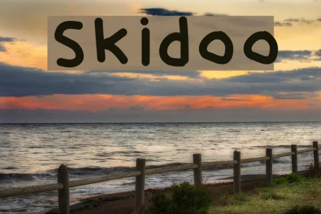Skidoo Example 3