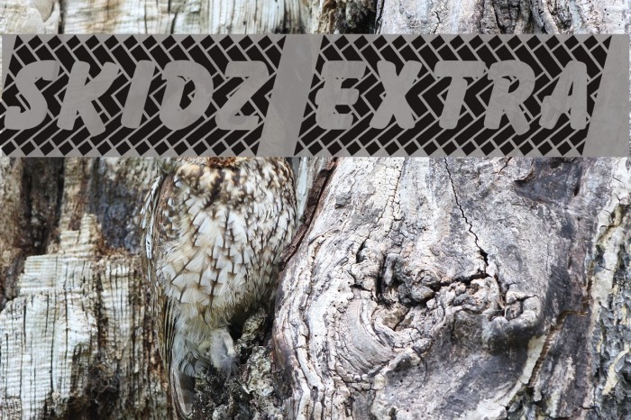 Skidz Extra Font examples