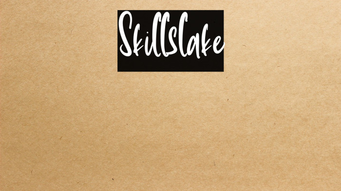 Skillslake Example 1