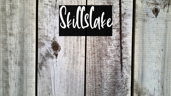 Skillslake Example 2