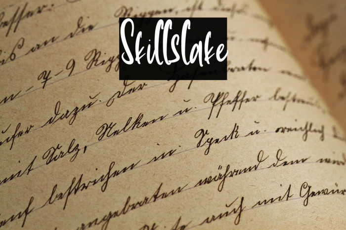 Skillslake Example 3