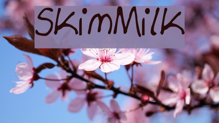 Skim_Milk Font examples