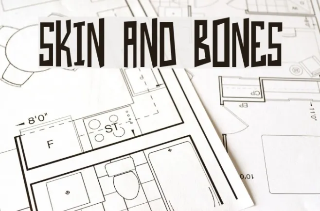 Skin And Bones Example 1