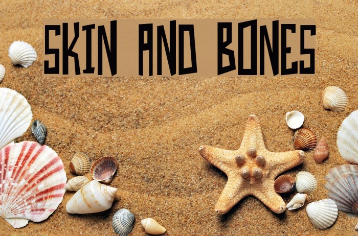Skin And Bones Font examples