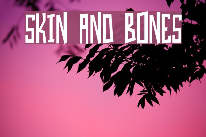 Skin And Bones Font examples