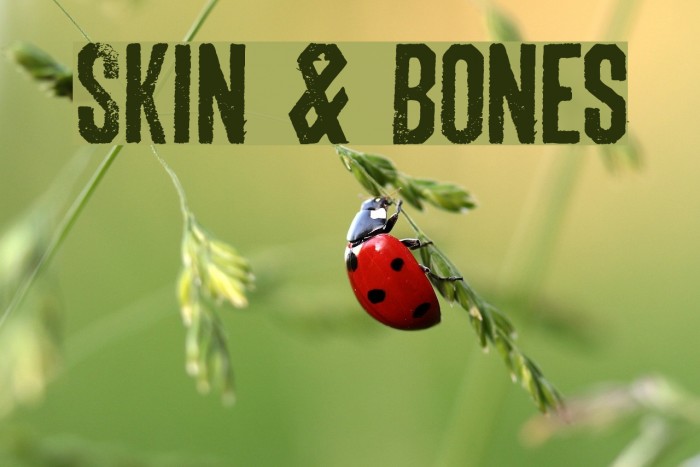 Skin & Bones Font examples
