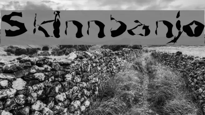 Skinnbanjo Font examples