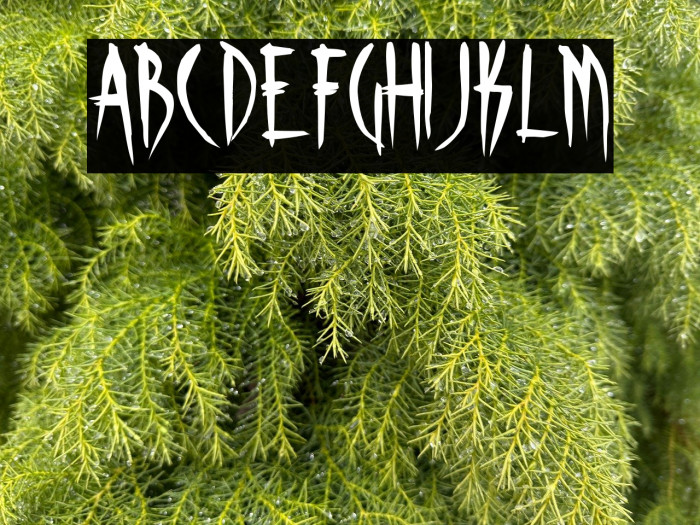 Skinner AOE Example 1