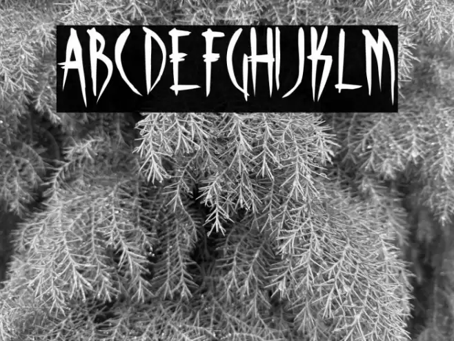 Skinner AOE Font examples