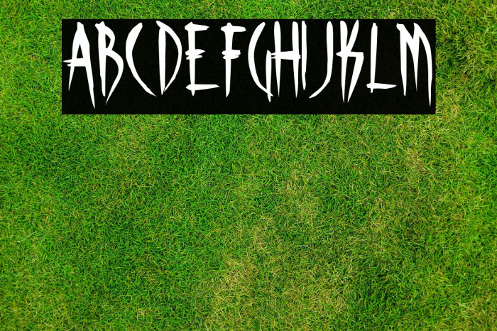 Skinner AOE Example 3