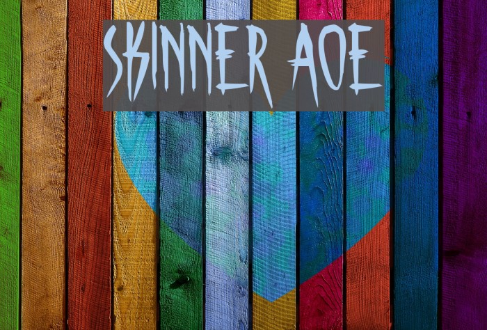 Skinner AOE Schriftart examples
