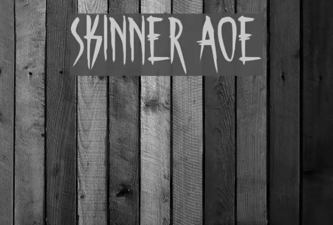 Skinner AOE Font examples