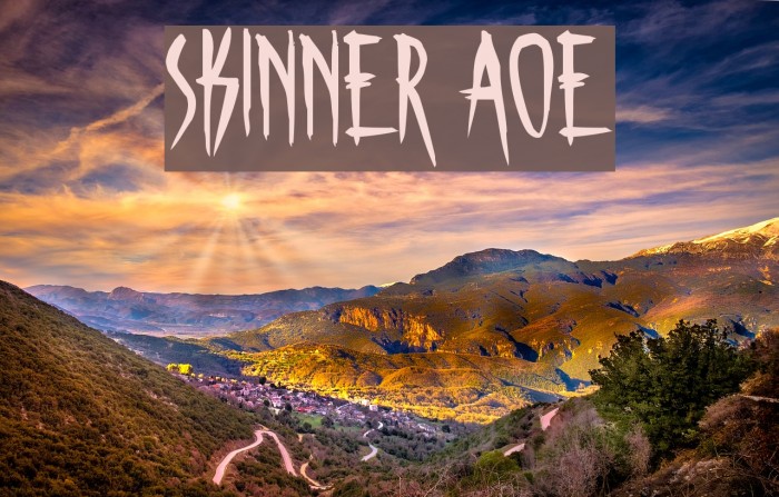 Skinner AOE Schriftart examples