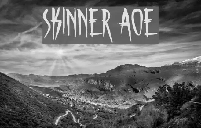 Skinner AOE Font examples