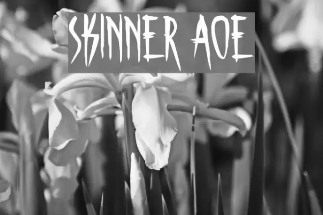 Skinner AOE Font examples