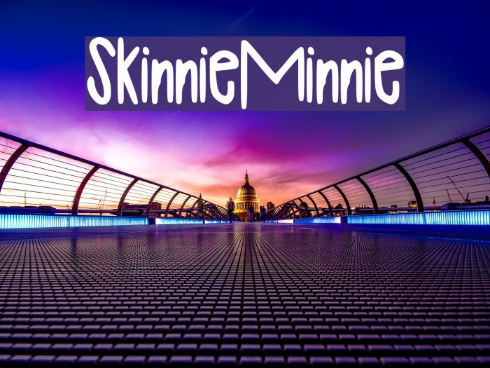 SkinnieMinnie Example 1
