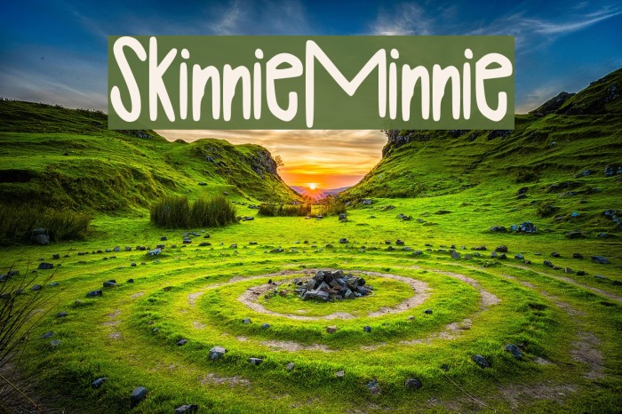 SkinnieMinnie Example 2