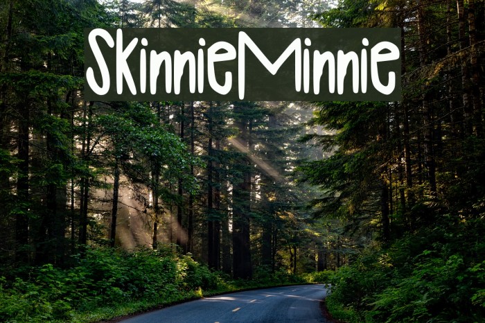 SkinnieMinnie Example 3