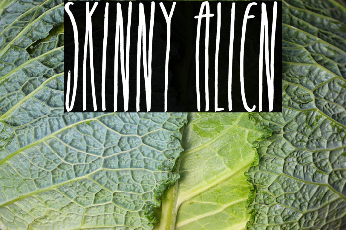 Skinny Alien Fonte examples