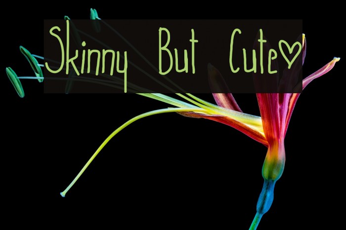 Skinny But Cute~ Example 3