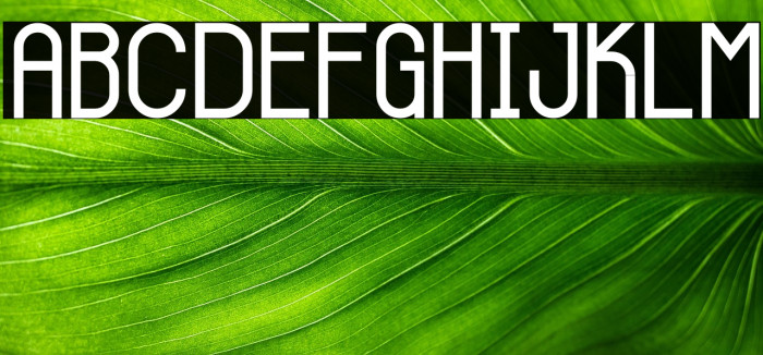 Skinny Buttom Example 2