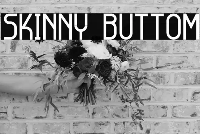 Skinny Buttom Font examples