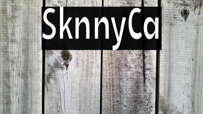 Skinny Cat Example 1