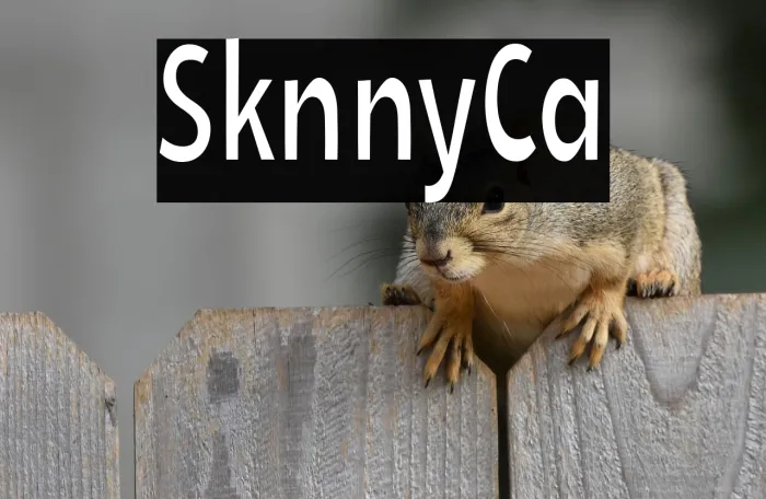 Skinny Cat Example 2