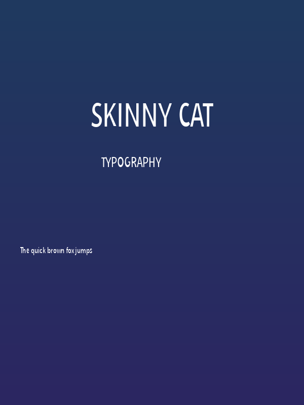 Skinny Cat Poster