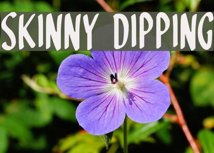 Skinny Dipping Font examples