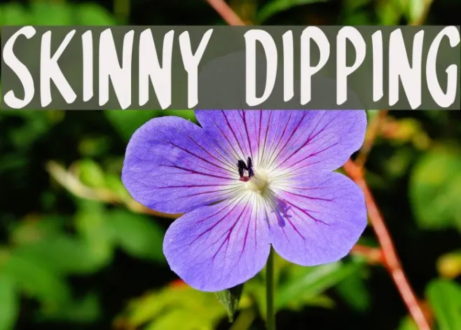 Skinny Dipping Example 3