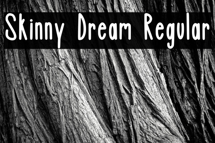 Skinny Dream Regular Example 2