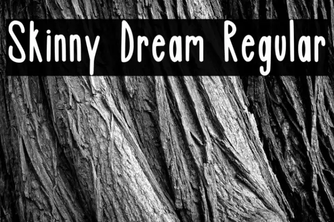 Skinny Dream Regular Caratteri examples