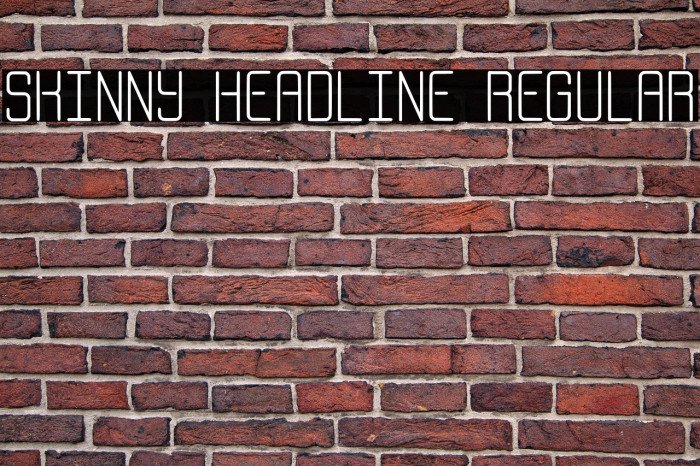 Skinny Headline Regular Example 2