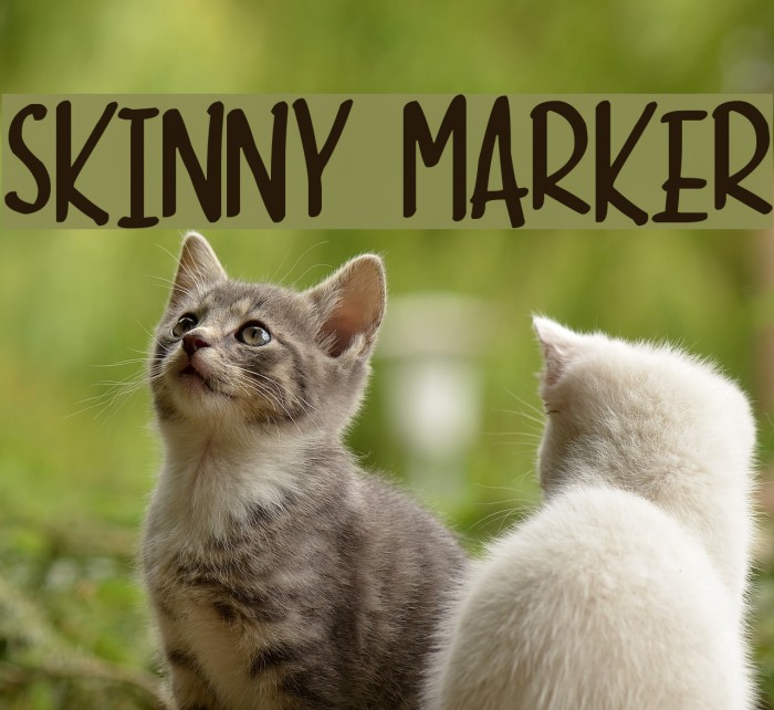 Skinny Marker Font examples