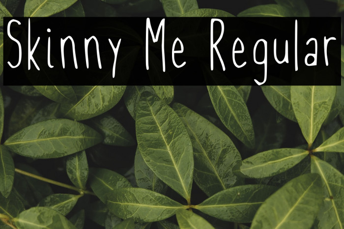 Skinny Me Regular Example 1